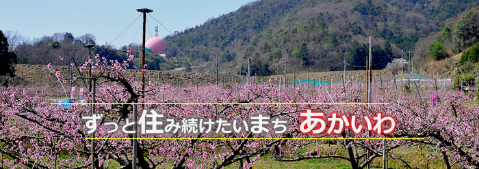 ずっと住み続けたいまちあかいわ