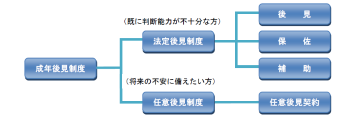 成年後見分類