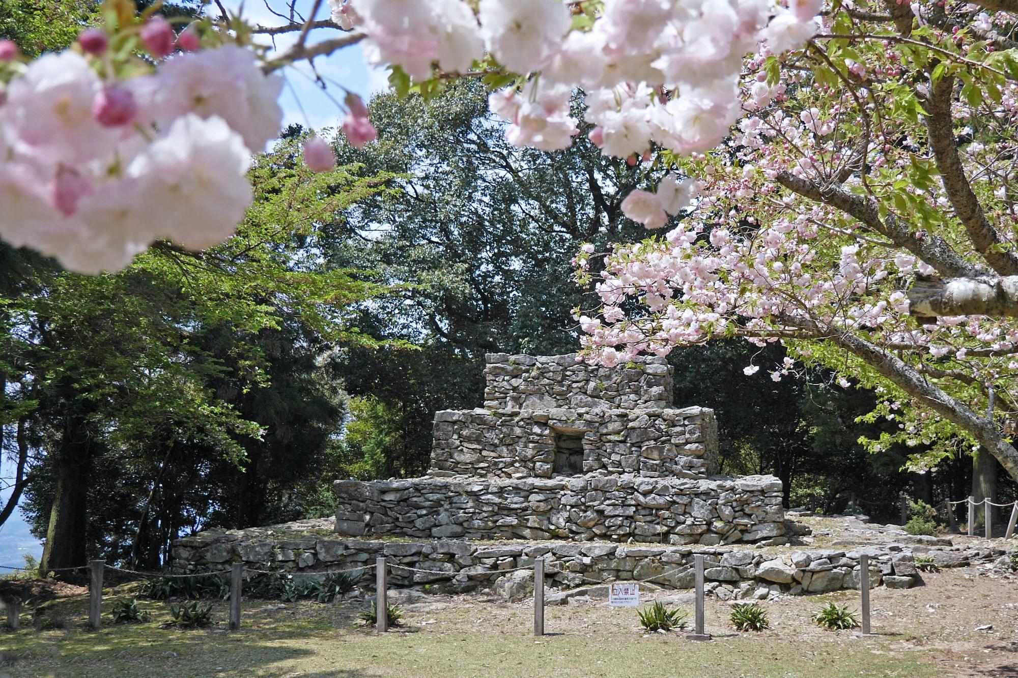 熊山遺跡（桜）