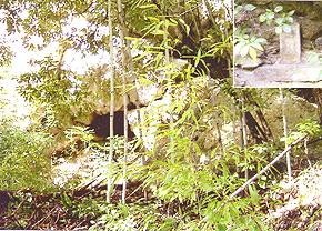 笹の茂る岩の祠の第76-2番札所の写真