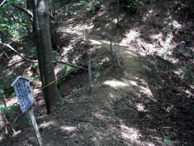 大仙山城跡 土橋の尾根伝いに進む道の写真