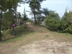 野山古墳群の木立の写真