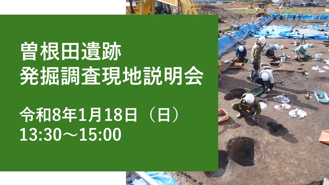 (イメージ)曽根田遺跡発掘調査現地説明会を開催します(令和8年1月18日開催)