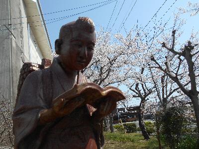 二宮金次郎と桜