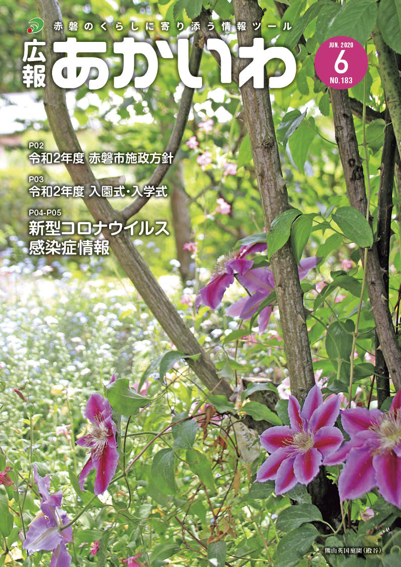 紙面イメージ（広報あかいわ 令和2年6月号（No.183)）