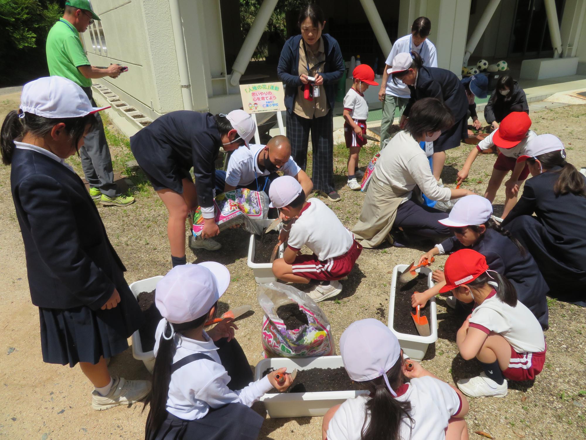 人権の花の種まき