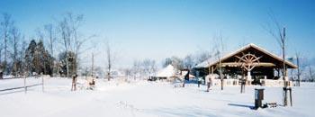キャンプ場の雪景色