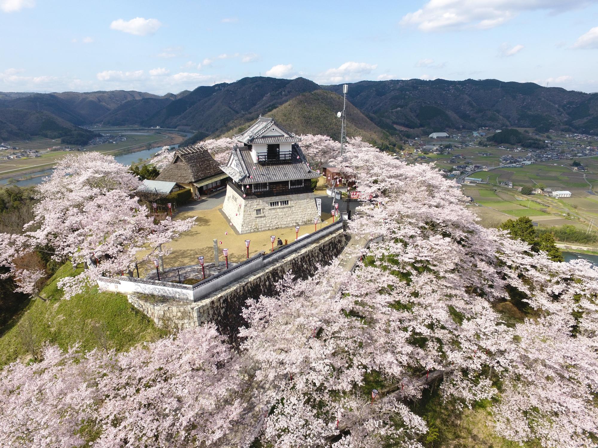 吉井城山公園