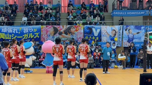 シーガルズホームゲーム