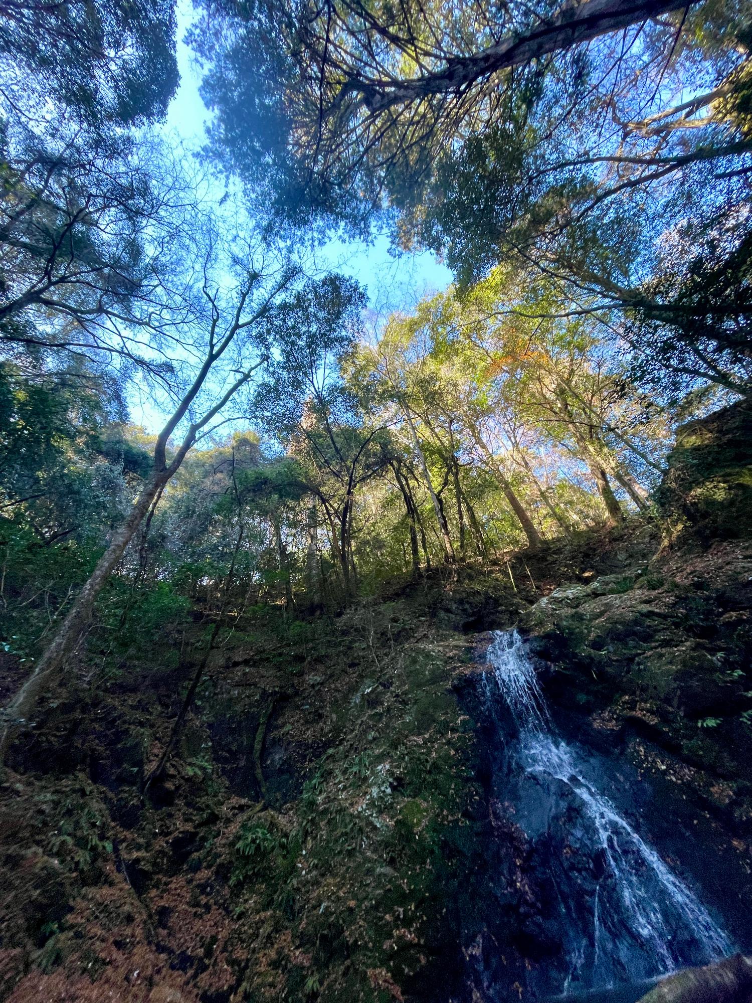 LINEデジタルフォトコンテスト優秀賞作品2