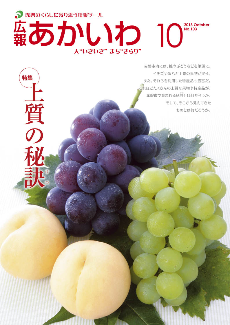 紙面イメージ（広報あかいわ 平成25年10月号）