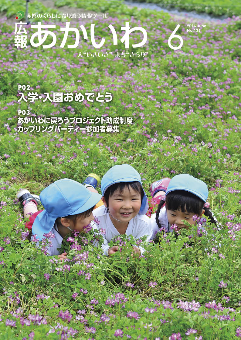 紙面イメージ（広報あかいわ 平成28年6月号）