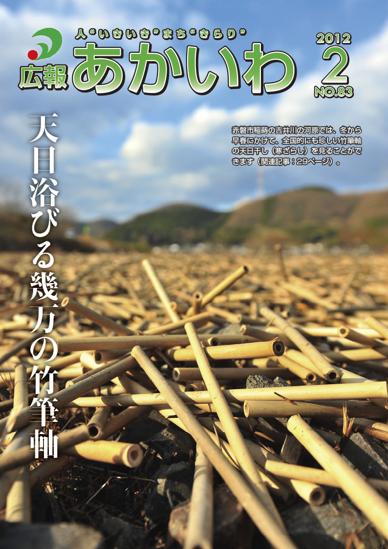 紙面イメージ（広報あかいわ 平成24年2月号）