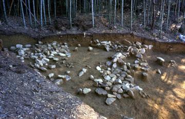 木立の横、たくさんの石がある中世墓の検出状況