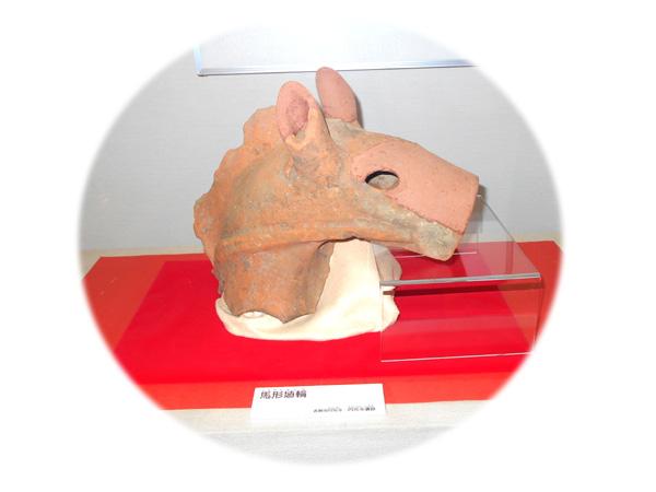 赤磐市山陽資料館に展示の円光寺遺跡の馬形埴輪の写真