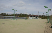 赤坂ファミリー公園テニス場
