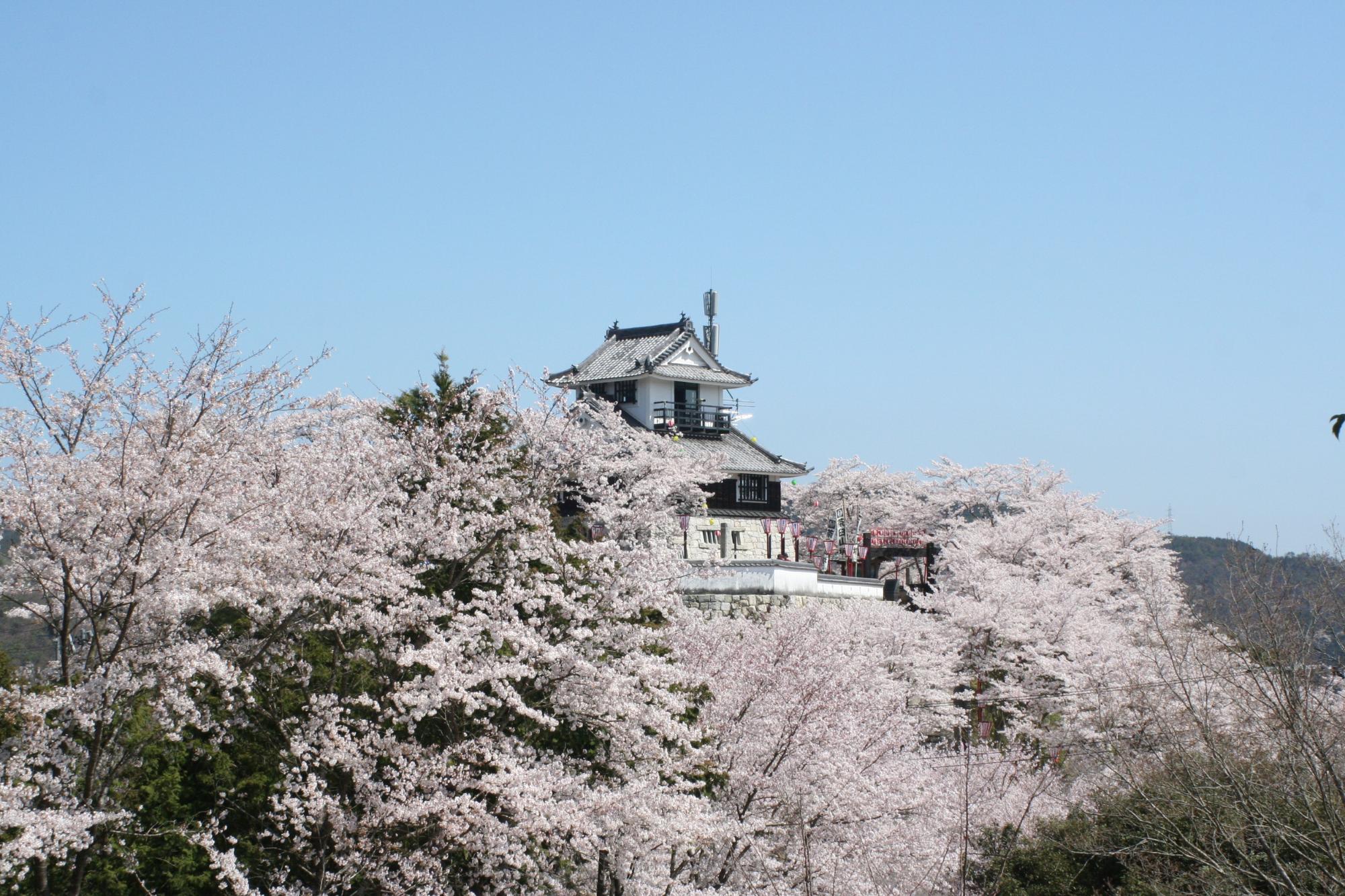 吉井城山公園