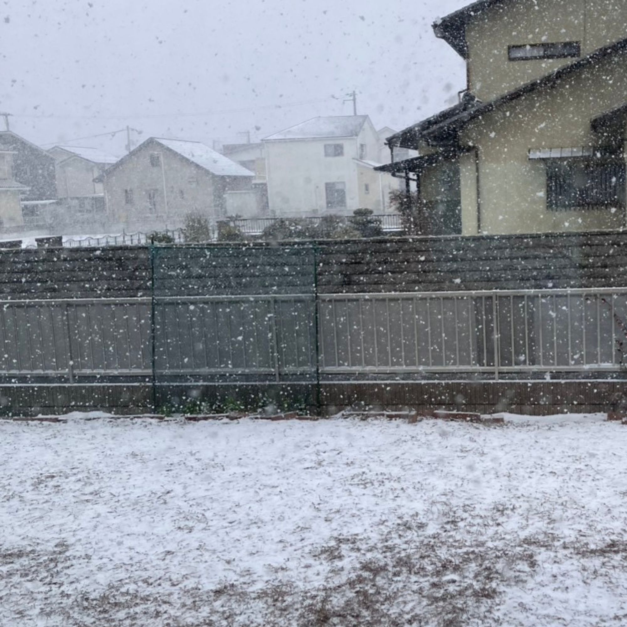 20260208雪の様子