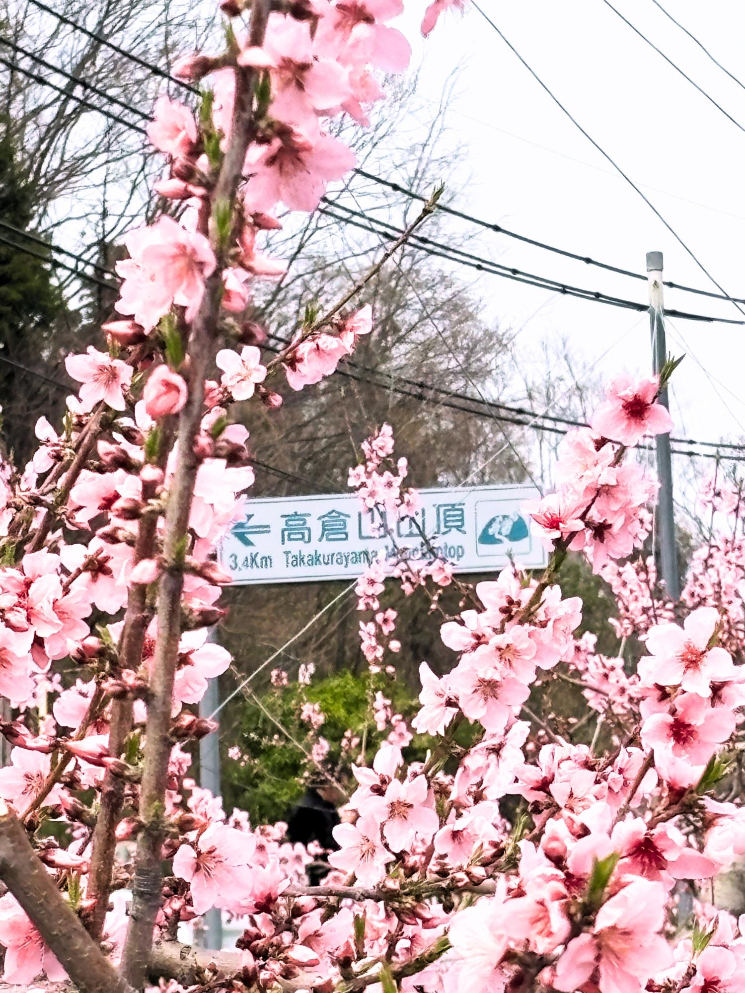 takakurayamasannchou