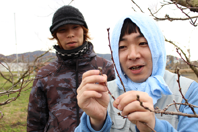 その選択、Yesか農家?29枚目