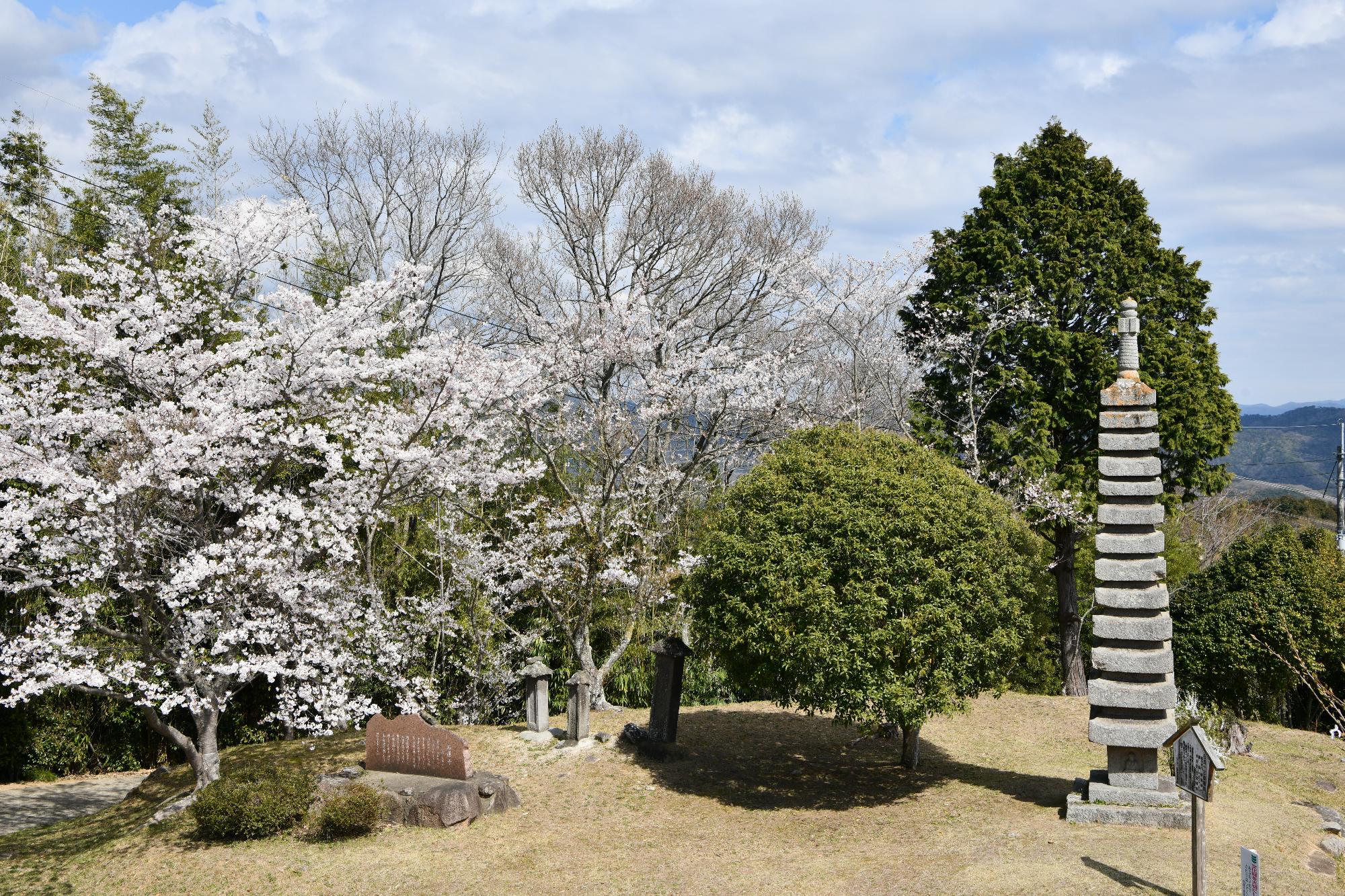 石蓮寺