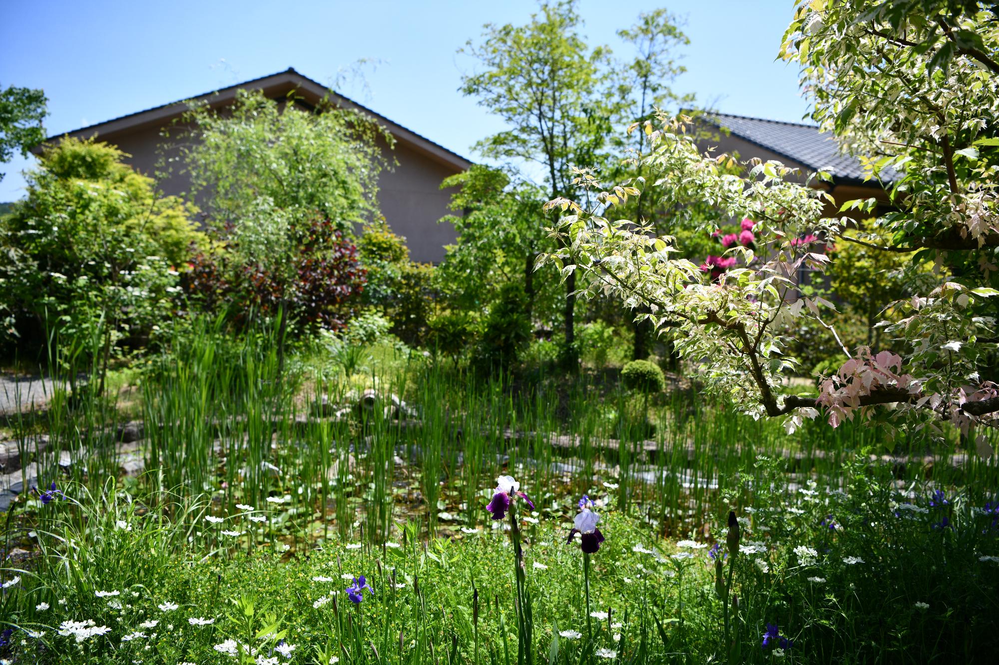 英国庭園の池