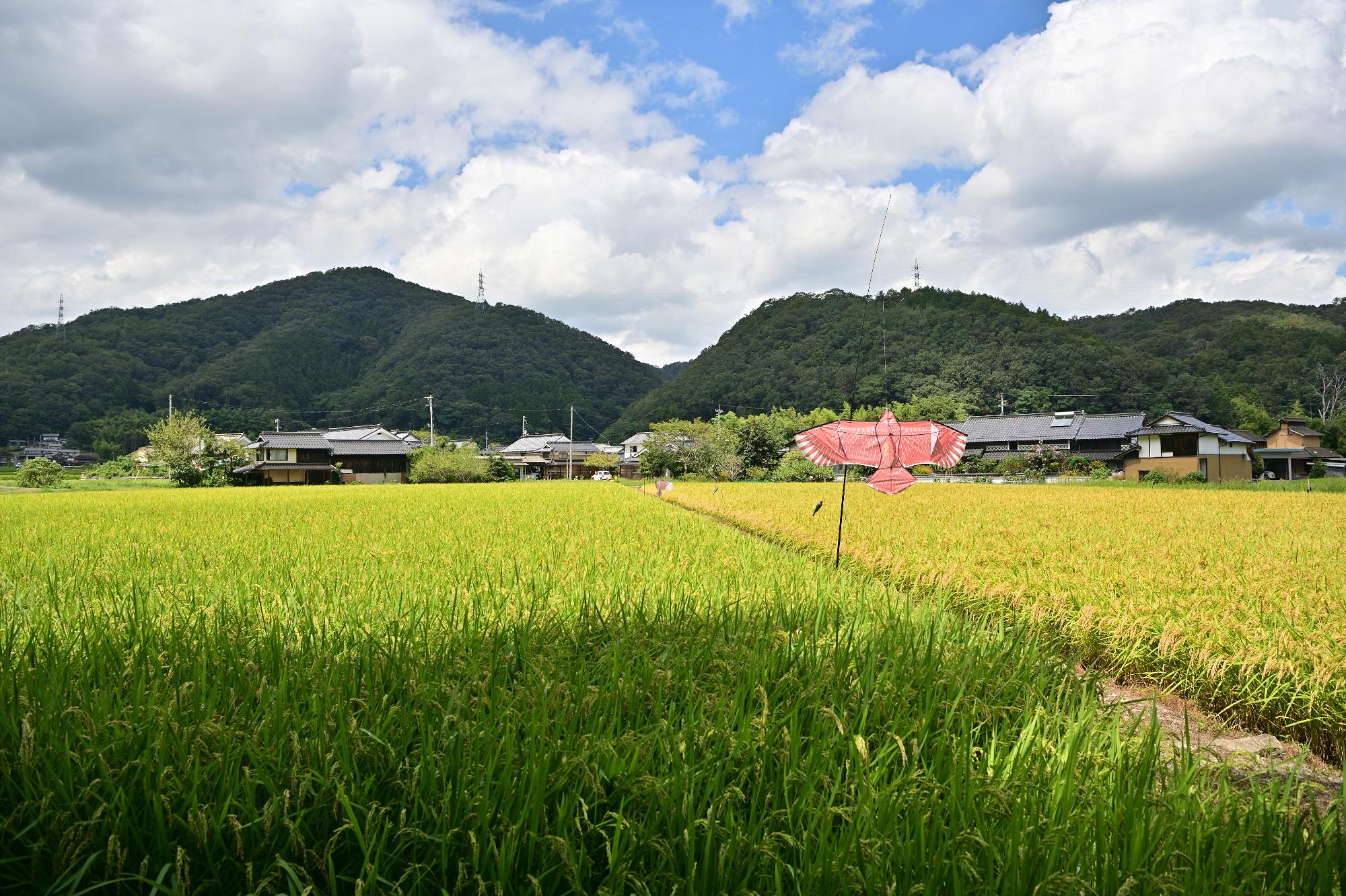 黒沢地区