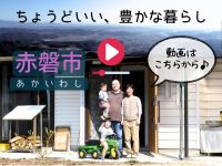 ニュースレター