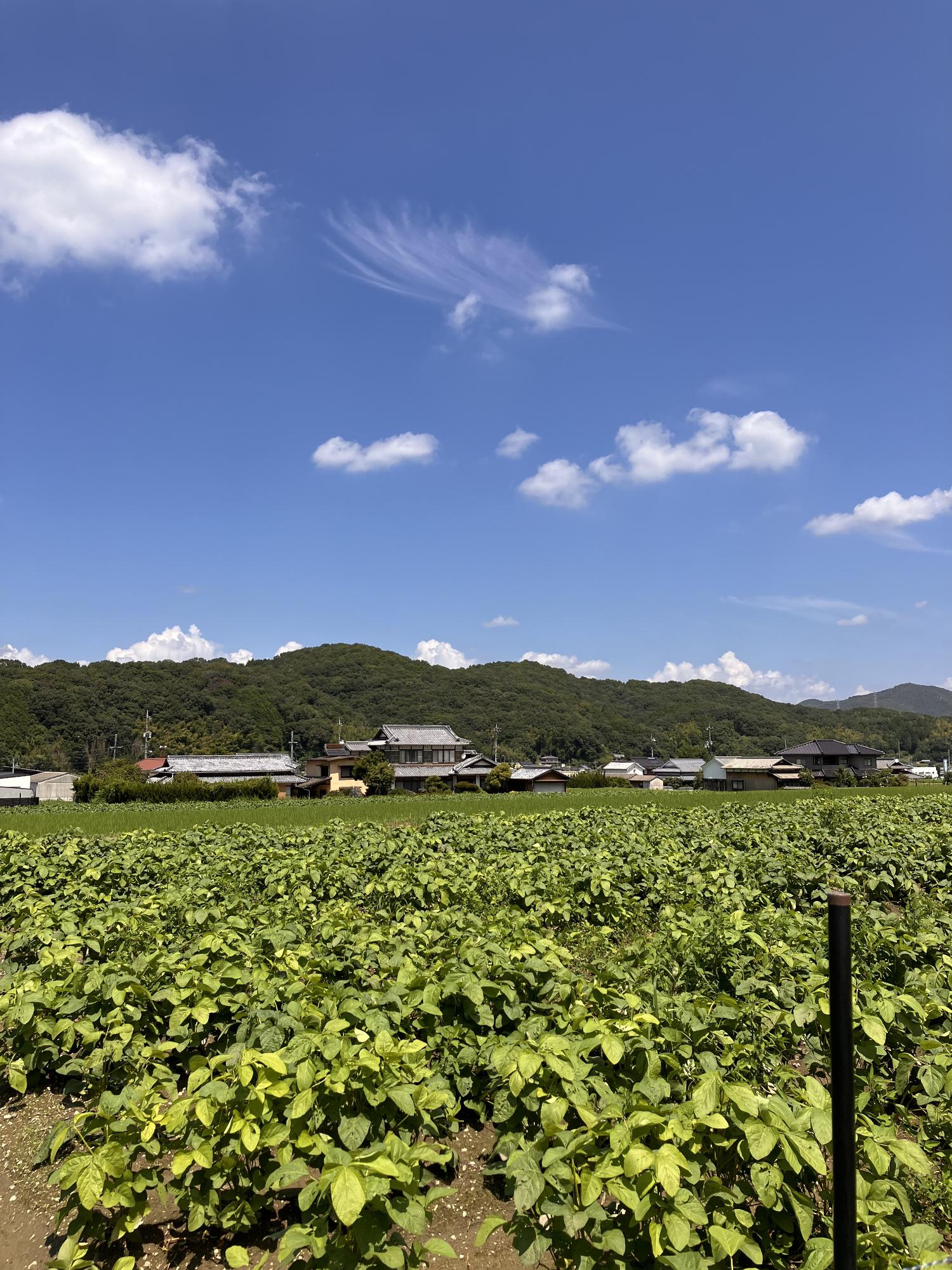 熊山の田園風景