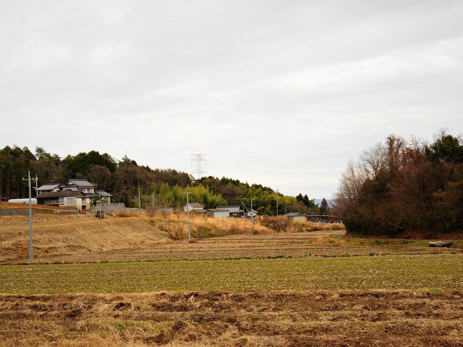 中勢実風景