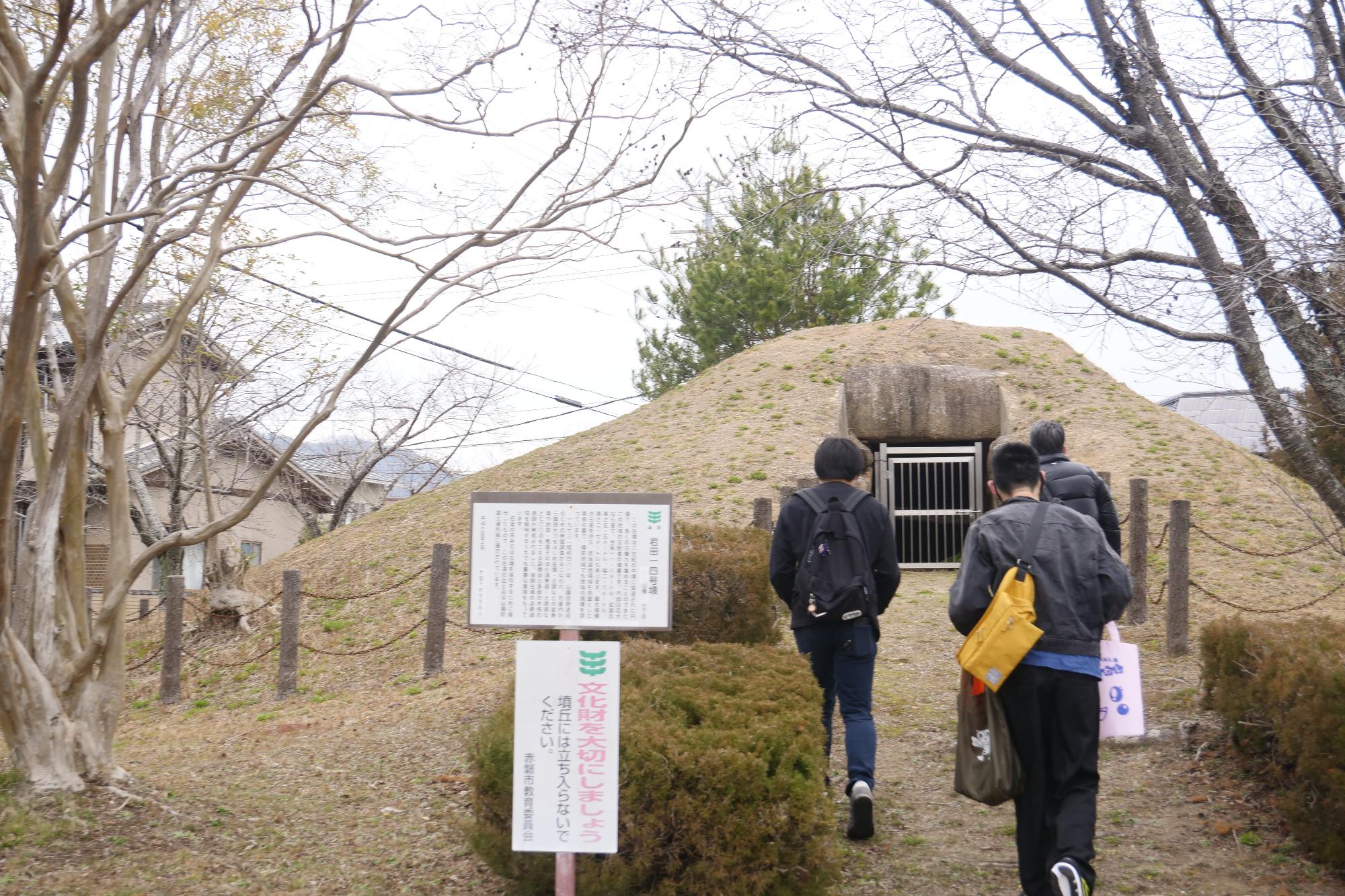 岩田14号