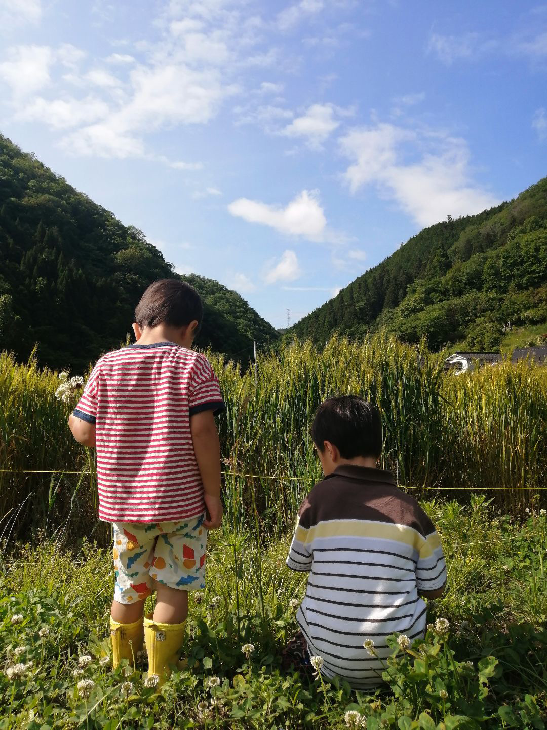 こども