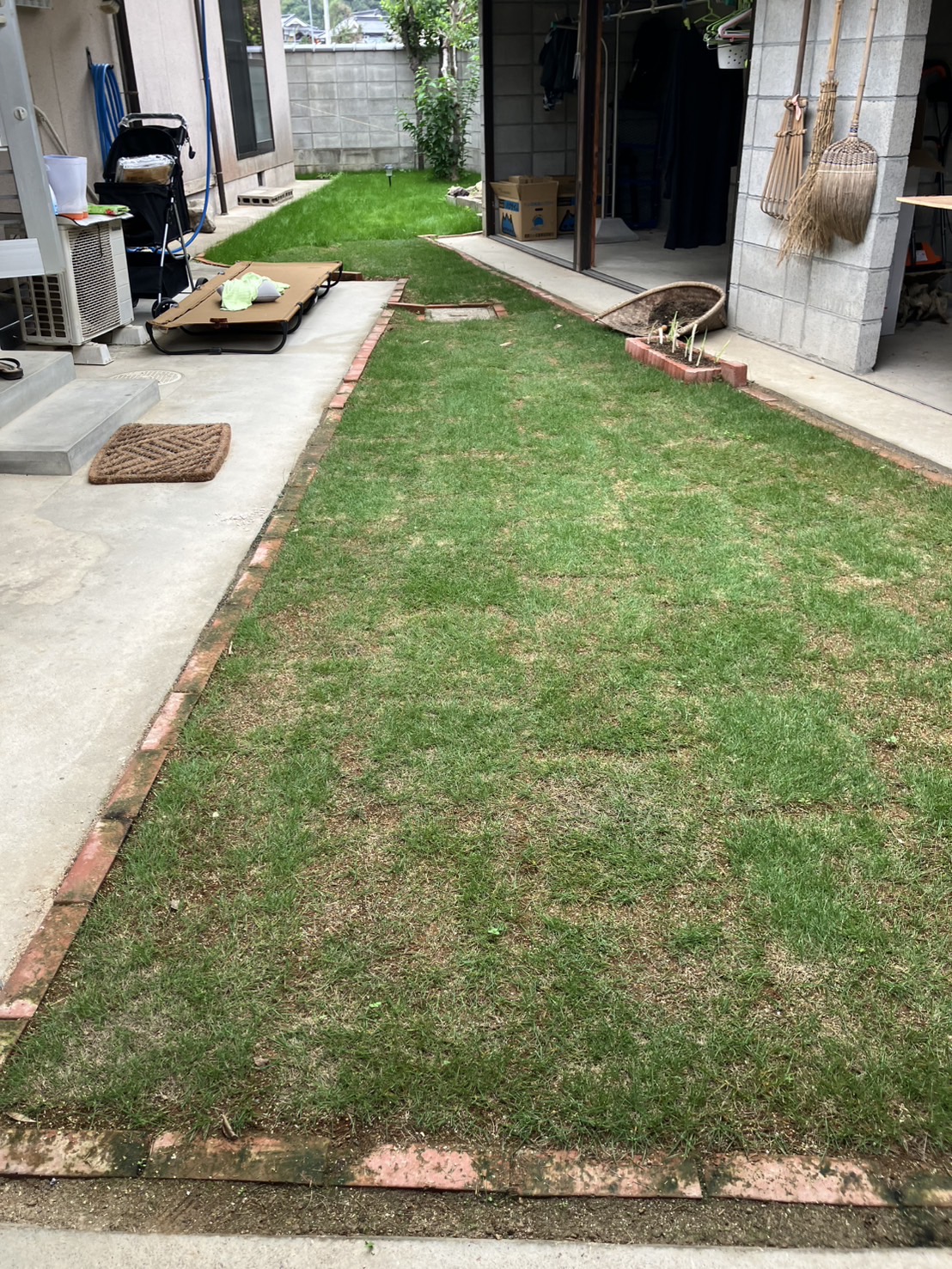 島さんの庭完成