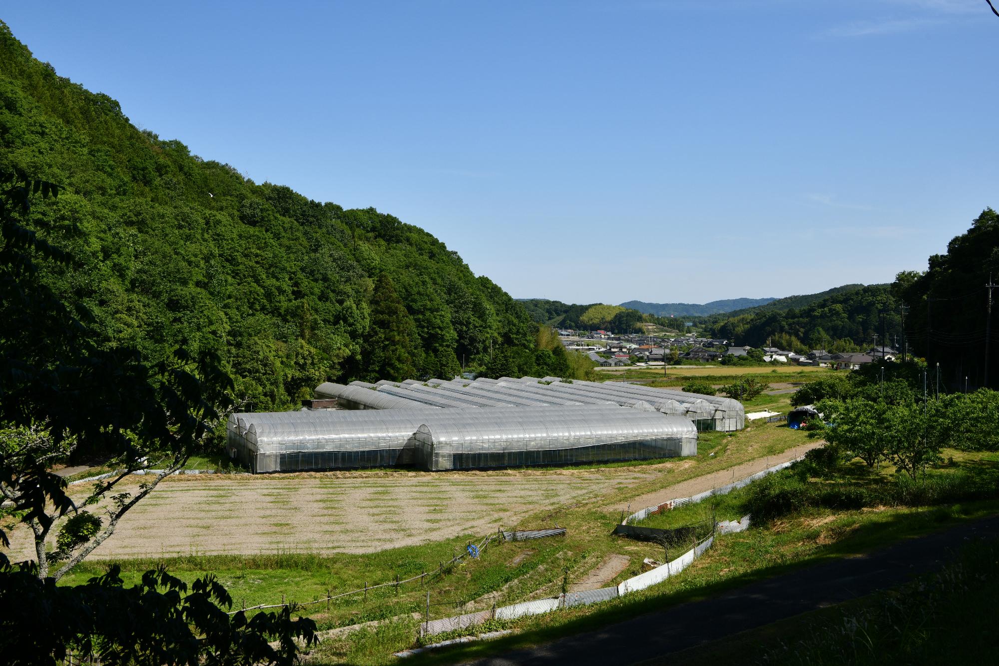 由津里地区