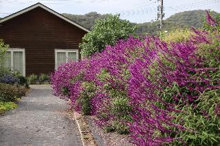 秋の熊山英国庭園の様子